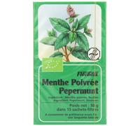 Floradix Herbal Tea Peppermint 15 Teabags