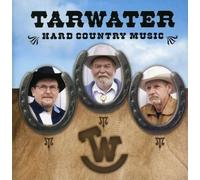 Salut d Amour - Exquisite Instrumental Wedding