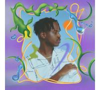 Salute Shield 12 Inch Vinyl TCLR054 NEW