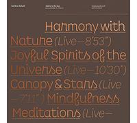 Salute to the Sun Live at HalleÌ St. Peter's [VINYL LP]