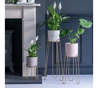 Saluzzo Gold Plant Stand H64cm D22cm Ivyline Gold One Size