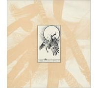 Salvation - Sunshine Superman