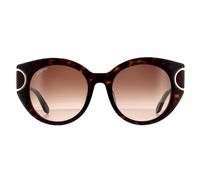 Cat Eye Tortoise Brown Gradient Sunglasses Salvatore Ferragamo Brown One Size