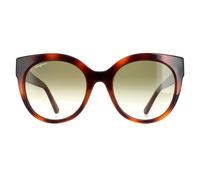 Salvatore Ferragamo SF1031S Womens Tortoise Sunglasses