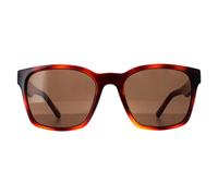 Square Tortoise Brown SF959S Salvatore Ferragamo Brown One Size