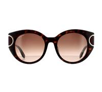 Salvatore Ferragamo Women's Cat Eye Tortoise Brown Gradient Sunglasses Salvatore Ferragamo Brown One Size