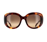 Oval Tortoise Brown Gradient Sunglasses Salvatore Ferragamo Brown One Size