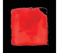 salvia palth - last chance to see [VINYL]