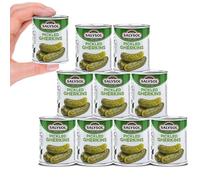 Salysol Pickled Gherkins 50g - 10 Pack Mini Cans of Crisp Snacking Pickles in Vinegar Brine - Sweet and Tangy, Ready-to-Eat Vegetarian Healthy Snack for Burgers, Sandwiches, Platters & Lunchboxes