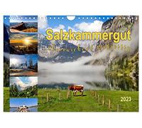 Salzkammergut, überraschend vielseitig (Wandkalender 2023 DIN A4 quer): Das Salzkammergut besticht mit Bergen, Seen und schönen Aussichten. (Monatskalender, 14 Seiten) (CALVENDO Orte)