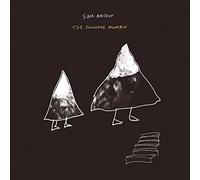 Sam Amidon - The Following Mountain