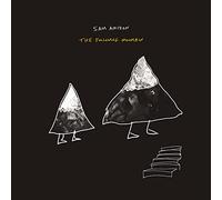 Sam Amidon - The Following Mountain [VINYL]