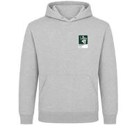 Sam Burns Golf Icon Frame Men's Hoodie - Gray / XL