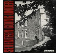 Sam Fender Seventeen Going Under - 180 Gram - Sealed UK vinyl LP album record 3834457 Polydor 2021 Audiophile