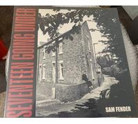 FENDER - SEVENTEEN GOING UNDER - New Vinyl Record - 12 - Y99z