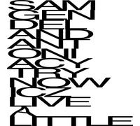 Sam Gendel & Antonia Cytrynowicz - Live A Little [VINYL]