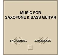 Sam Gendel & Sam Wilkes - Music for Saxofone &..