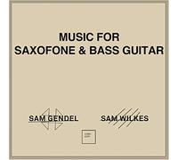 Sam Gendel & Sam Wilkes - Music For Saxofone & Bass Guitar [VINYL]