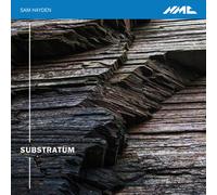 Sam Hayden : Sam Hayden: Substratum CD (2019) NEW FREE Shipping, Save £s