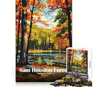 Sam Houston Forest National Park 1000-piece Puzzle for Teenagers Brain Teasing Cozy Downtime Solid Lock Creative Gift size 38x26cm