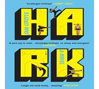 Sam Lipsyte Hark Paperback Book Sam Lipsyte Multicolor