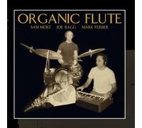 Sam Most - Joe Bagg - Mark Ferber - Organic Flute