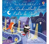 Sam Taplin Róis Mein leuchtendes Bilderbuch: Der Dachs entdeckt die L (Hardback)