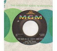 SAM THE SHAM - SAM THE SHAM - HAIR ON MY CHINNY CHIN CHIN - 7 inch vinyl / 45