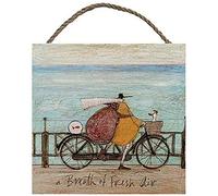 Sam Toft Wall Art, Multi-Colour, 20 x 20 cm