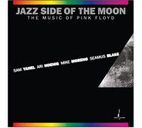 Sam Yahel, Ari Hoenig, Mike Moreno, Seamus Blake - Jazz Side of The Moon