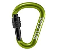 Salewa HMS Screw G2 Carabiner Green Black - M