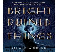 Samantha Cohoe Bright Ruined Things Paperback Book Samantha Cohoe Multicolor