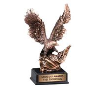 Same Day Awards Majestic Bronze Eagle with Old Glory Trophy | Free Engraving, Electroplated Resin, Metallic Bronze Finish, Patriotic Recogntion, Eagle with Flag, Service & Leadership