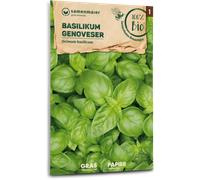 Samen Maier Organic Genovese Basil - 1 Pkg