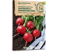 Samen Maier Organic Sora Radish Seed Band - 1 Pkg