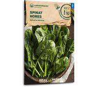 Samen Maier Organic Spinach "Nores" - 1 Pkg