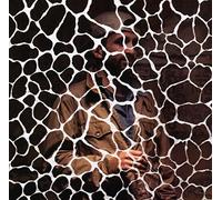 Samiyam - Animals Have Feelings