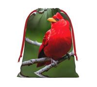 SamLng Large Drawstring Gift Bag - beautiful red Birds Perfect for Christmas, Holiday, & Party Favors - Candy Bags & Treat Sacks