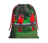 SamLng Large Drawstring Gift Bag - Red cute birds Perfect for Christmas, Holiday, & Party Favors - Candy Bags & Treat Sacks