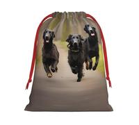 SamLng Large Drawstring Gift Bag - Trotting Flat Coated Retrievers Paw Perfect for Christmas, Holiday, & Party Favors - Candy Bags & Treat Sacks