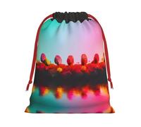 SamLng Small Drawstring Gift Bag - Bright Beautiful Colorful Art Perfect for Christmas, Holiday, & Party Favors - Candy Bags & Treat Sacks