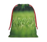 SamLng Small Drawstring Gift Bag - HD Green Nature Perfect for Christmas, Holiday, & Party Favors - Candy Bags & Treat Sacks