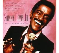 Sammy Davis Jr - What Ive Got In Mind