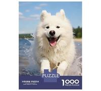 Samoyed 1000 Pc Premium Cardboard Cute Animal Puzzle for Adults Logic Skill Office Break Relaxation Wall Art Anniversary 38x26cm/1000pcs