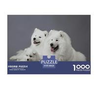 Samoyed 1000 Piece for Adults Teens: Three Fluffy White Samoyeds (two Adults One Puppy) on Gray Background Educational Game for Wall Decoration 38x26cm/1000pcs