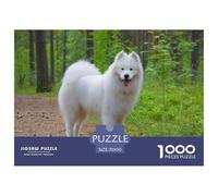 Samoyed 1000 Pieces for Adults Gifts: White Samoyed Stands on A Forest Path Tongue Out Challenging & Brainteasing Home Activity 70x50cm/1000pcs