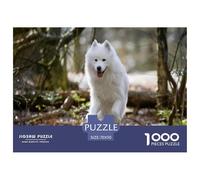 Samoyed 1000 Pieces for Adults & Kids: White Samoyed Runs Joyfully in A Wooded Area Educational Games Home Decor Puzzle for Family 70x50cm/1000pcs
