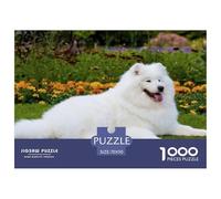 Samoyed 1000Pc for The Whole Family: White Samoyed Lies on Grass Amid Colorful Flowers for Women, Gifts for Men & Adults 70x50cm/1000pcs