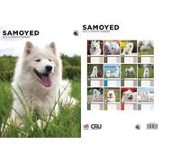 Samoyed 2026 Calendar - A3 Size 30 x 42 cm, 12 Months of Great Photography