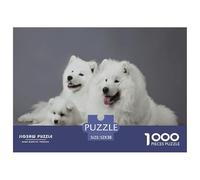 Samoyed Adult Challenging Jigsaws: Three Fluffy White Samoyeds (two Adults One Puppy) on Gray Background for Adults Teens & Seniors Great Gift 52x38cm/1000pcs